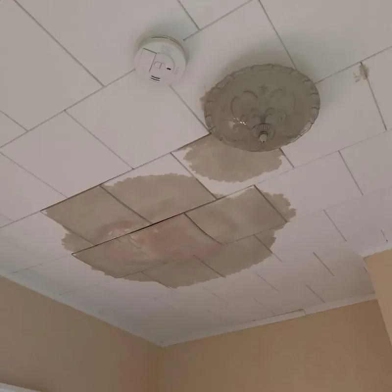 Ceiling Water Damage Repair in Stover, MO