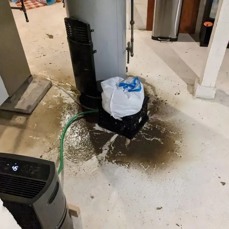 Sewage Backup Cleanup Service in Stover, MO